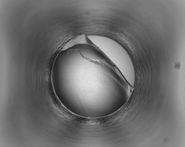 X0000096400546200802071603