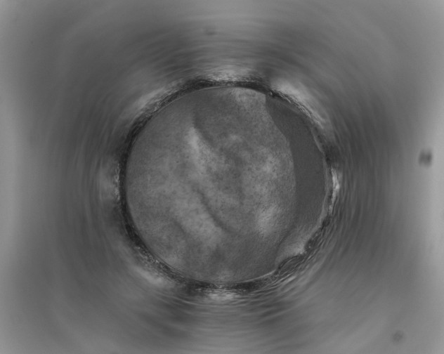 X0000096400547200802071603