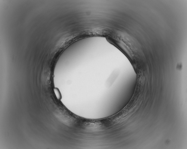 X0000096400548200802071603