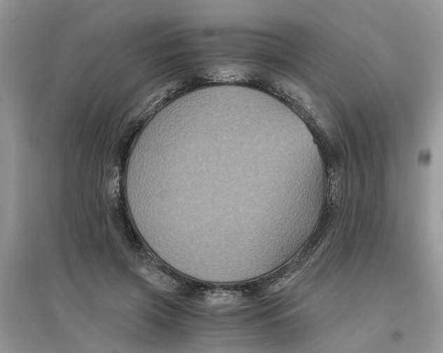 X0000096400549200802071603