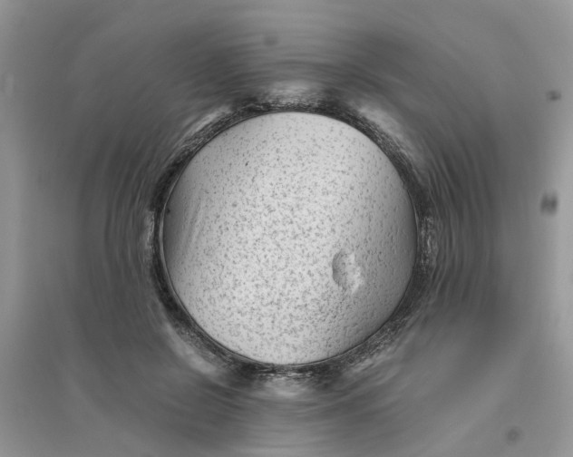 X0000096400550200802071603