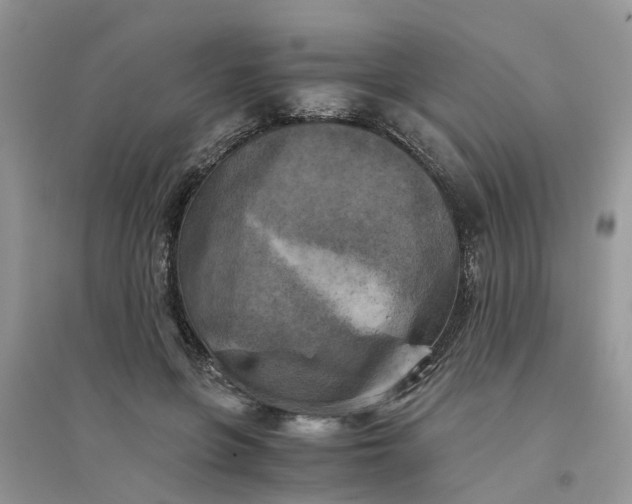 X0000096400551200802071603