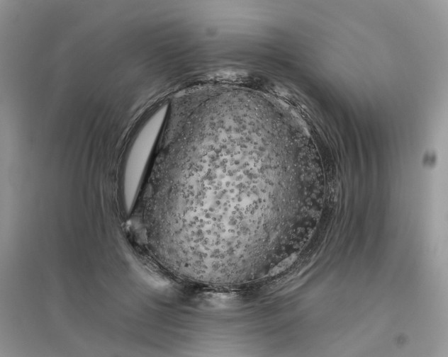 X0000096400552200802071603