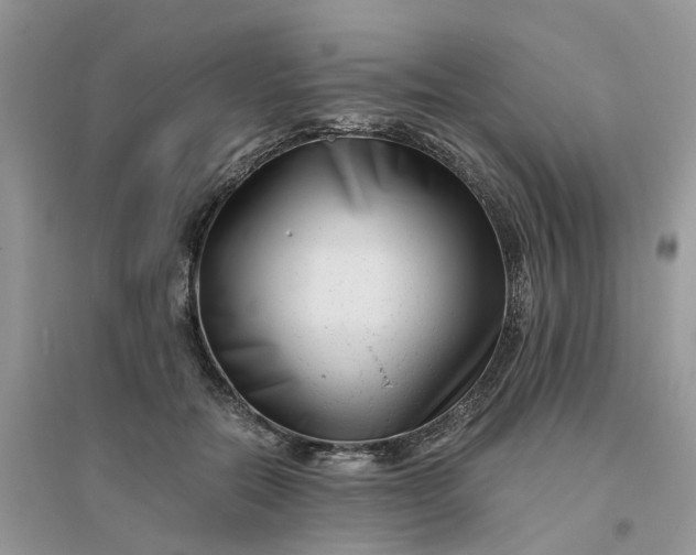 X0000096400554200802071603