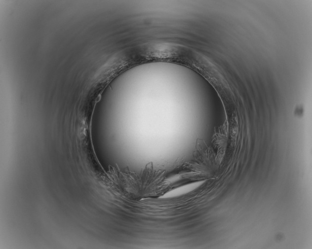 X0000096400555200802071603