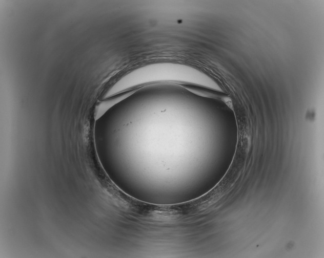 X0000096400556200802071603