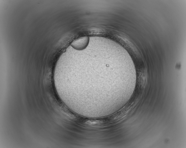 X0000096400557200802071603