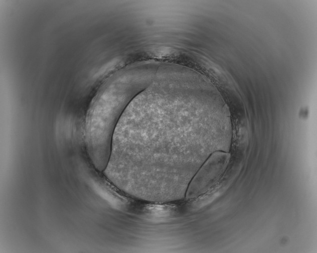 X0000096400558200802071603