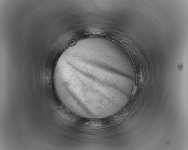 X0000096400559200802071603