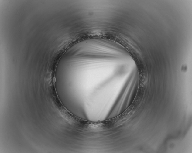 X0000096400560200802071603