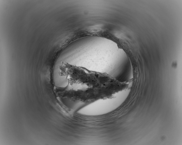 X0000096400562200802071603