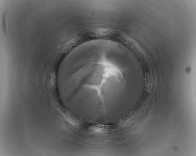 X0000096400563200802071603