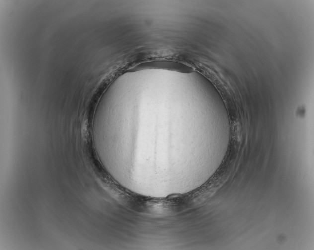 X0000096400564200802071603