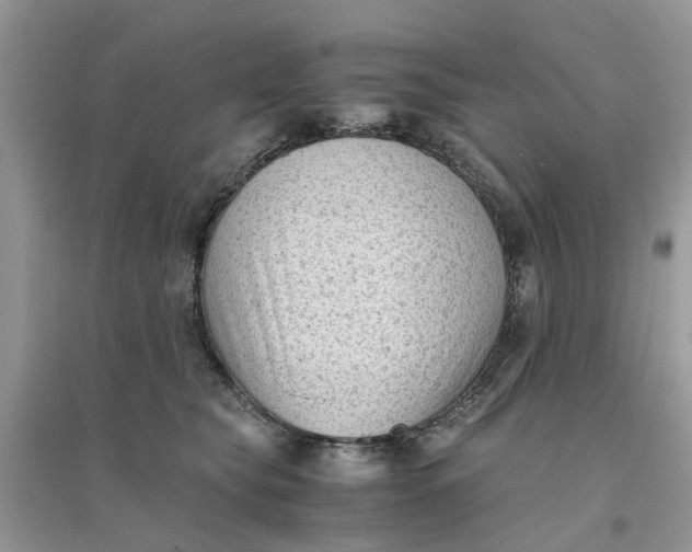 X0000096400565200802071603