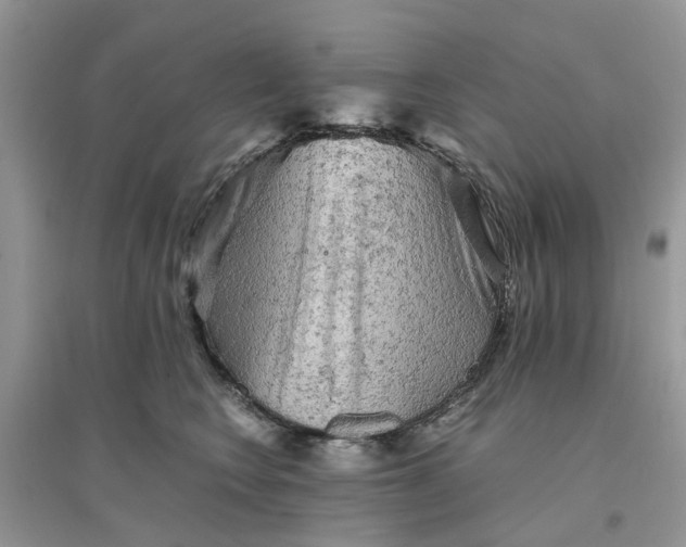 X0000096400566200802071603