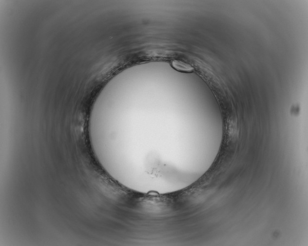 X0000096400567200802071603