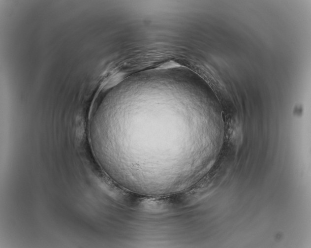 X0000096400568200802071603