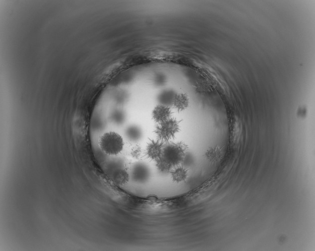 X0000096400569200802071603