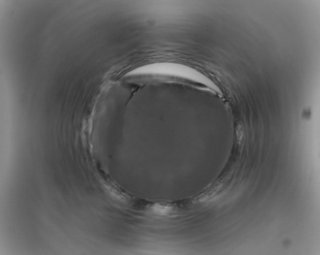 X0000096400570200802071603