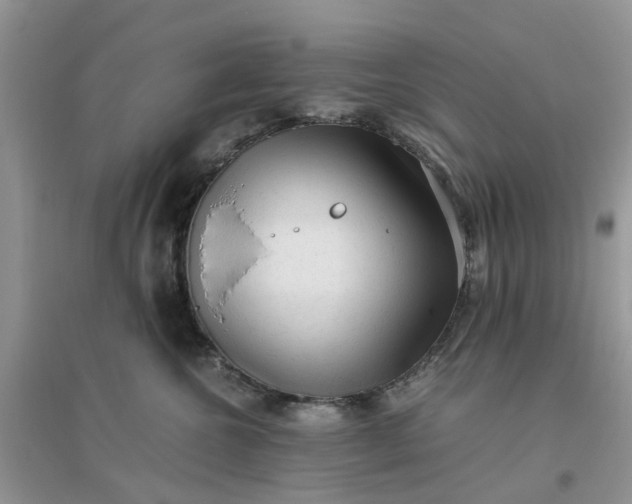 X0000096400572200802071603