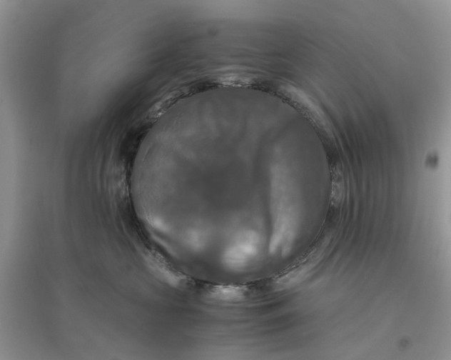 X0000096400573200802071603