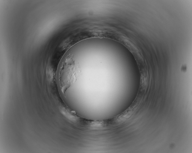 X0000096400574200802071603