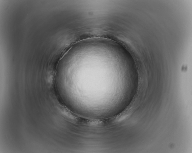 X0000096400576200802071603