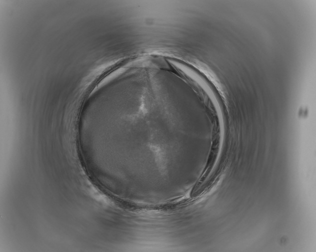 X0000096400577200802071603