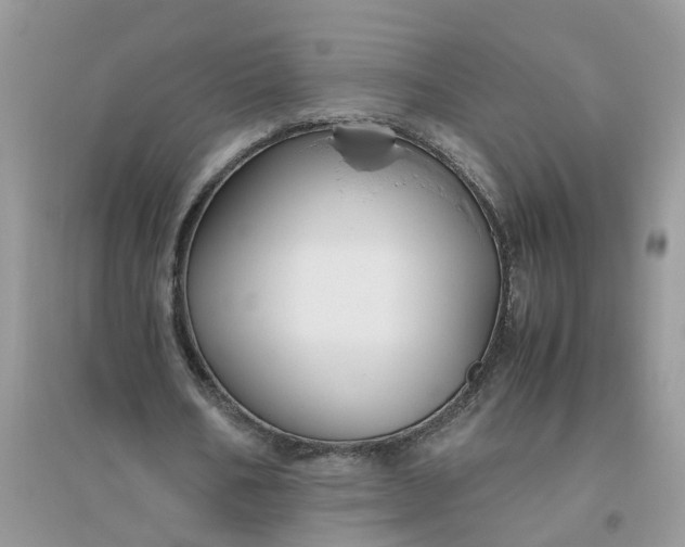 X0000096400578200802071603