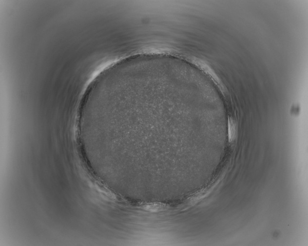 X0000096400579200802071603