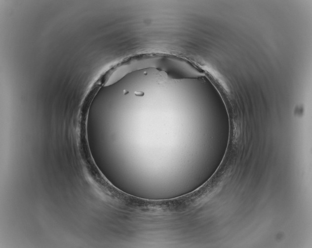 X0000096400580200802071603