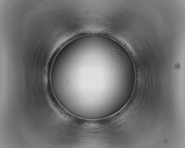 X0000096400582200802071603