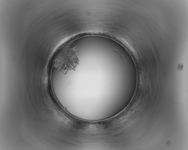 X0000096400584200802071603