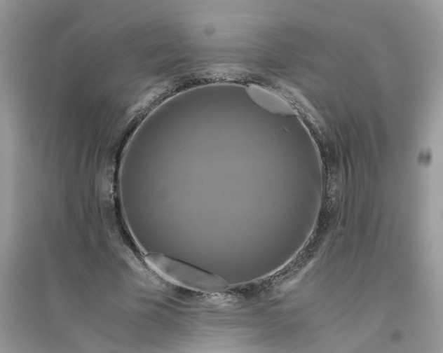 X0000096400585200802071603