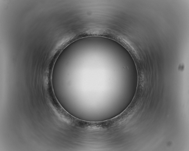 X0000096400586200802071603