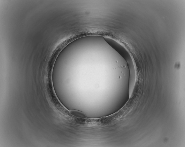 X0000096400587200802071603