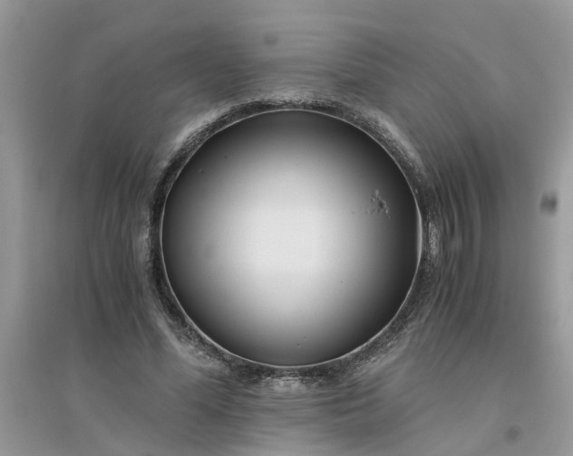 X0000096400588200802071603