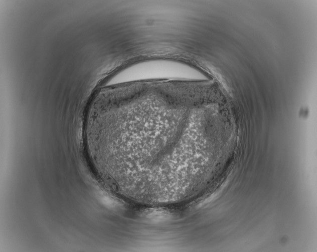 X0000096400589200802071603