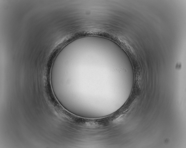 X0000096400591200802071603