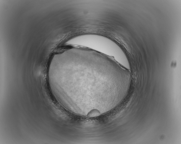 X0000096400593200802071603