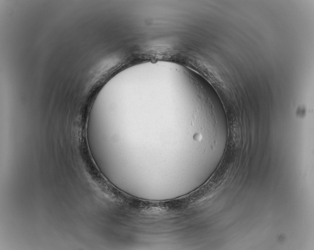 X0000096400594200802071603