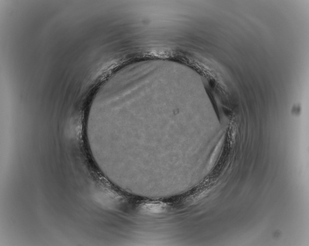 X0000096400595200802071603