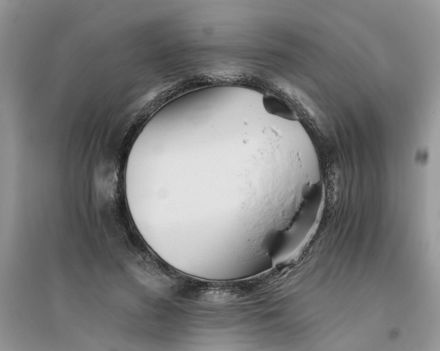 X0000096400596200802071603