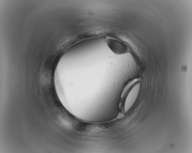 X0000096400597200802071602