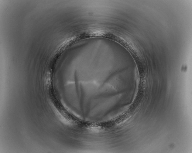 X0000096400598200802071602