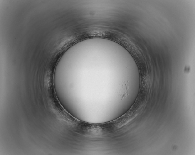 X0000096400600200802071602