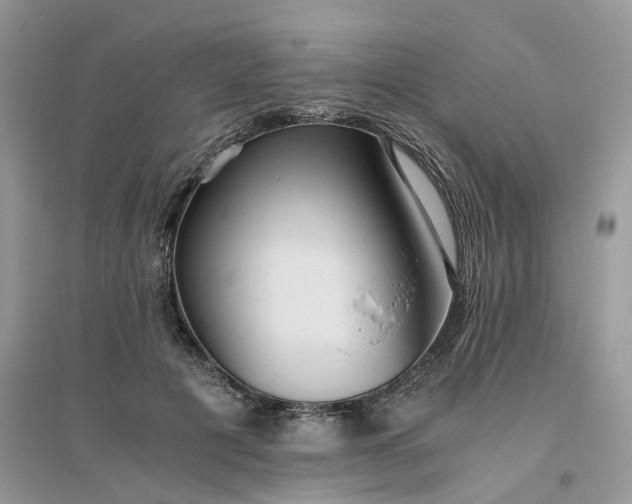 X0000096400601200802071602