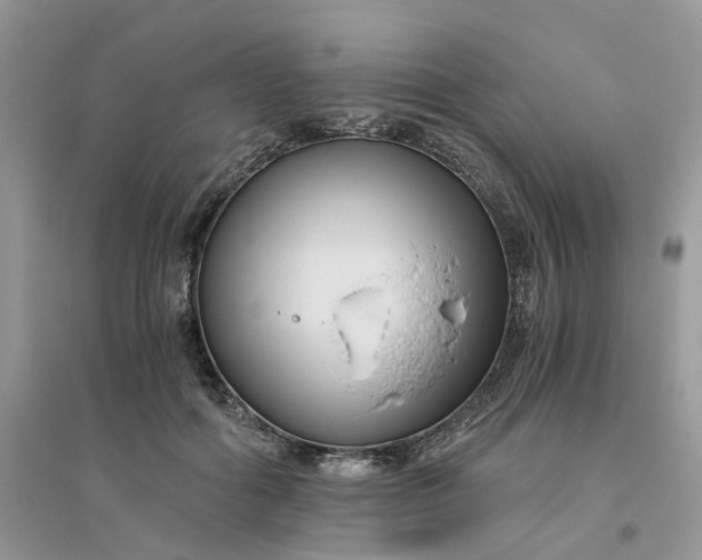 X0000096400602200802071602