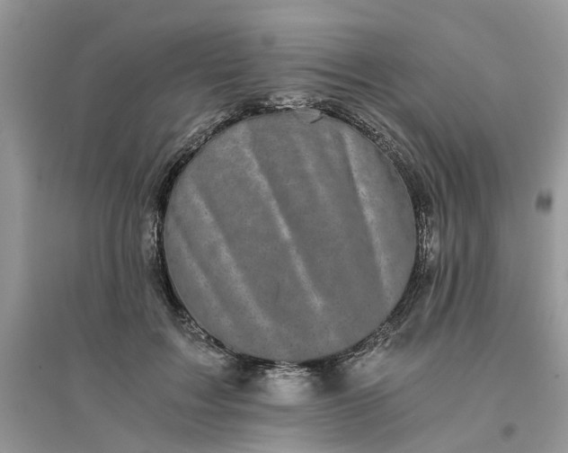 X0000096400603200802071602