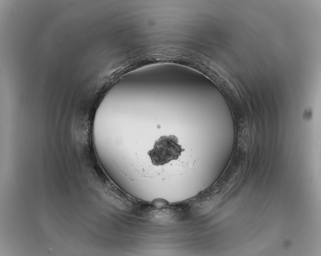 X0000096400604200802071602